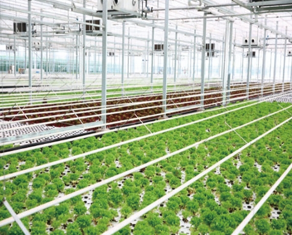 梅比西大棚种植空气源热泵方案：科技赋能农业，助力绿色高效种植